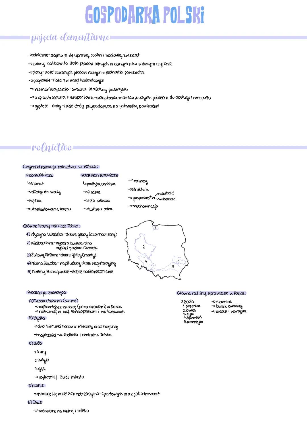 Czynniki i Warunki Rozwoju Rolnictwa w Polsce - Geografia Klasa 7