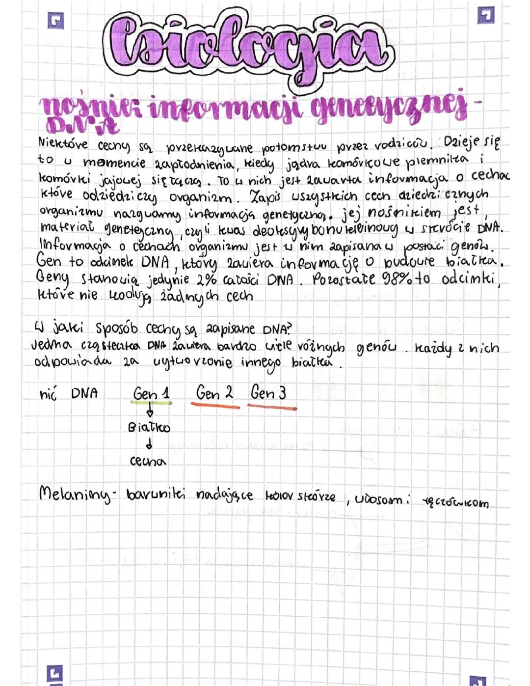Nośnik informacji genetycznej-DNA