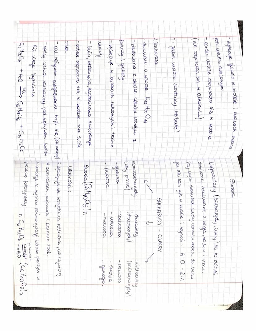 
<p>Cukry, inaczej węglowodany lub sacharydy, są zbudowane z węgla, wodoru i tlenu. Ich wzór ogólny to CnH₂mOm, gdzie stosunek atomów wodoru