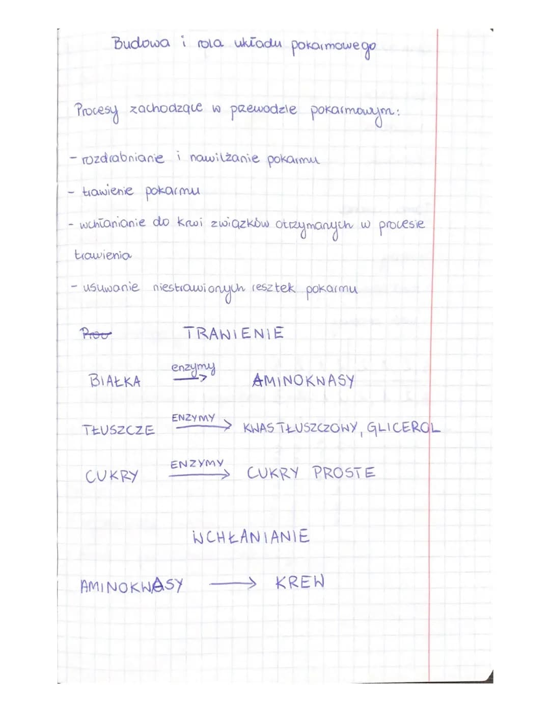 
<h2 id="drogapokarmuodjamyustnejdoodbytu">Droga pokarmu od jamy ustnej do odbytu</h2>
<p>Procesy trawienia odbywające się w przewodzie poka