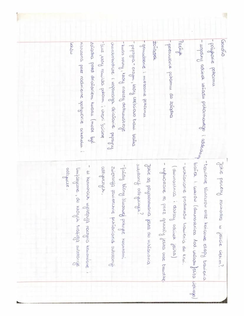 
<h2 id="drogapokarmuodjamyustnejdoodbytu">Droga pokarmu od jamy ustnej do odbytu</h2>
<p>Procesy trawienia odbywające się w przewodzie poka