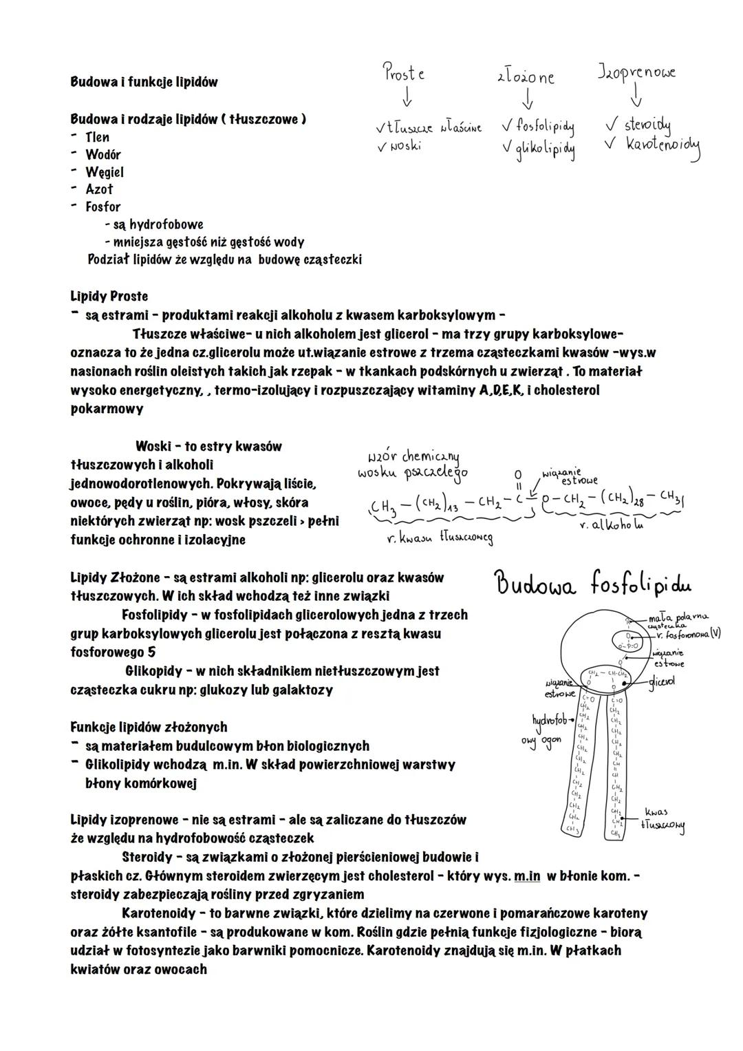 Lipidy: Budowa i Rodzaje