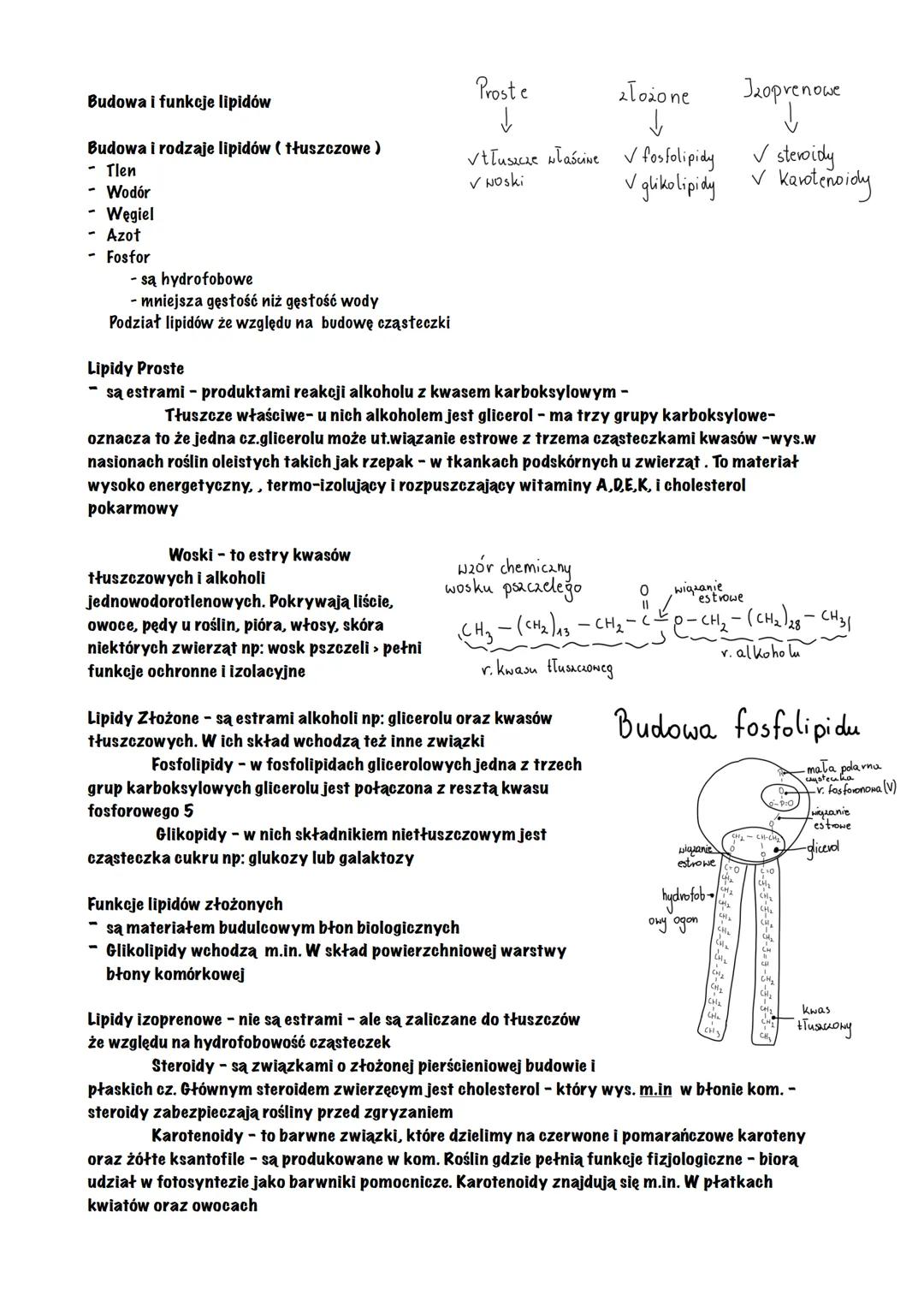 Budowa i funkcje lipidów
Budowa i rodzaje lipidów (tłuszczowe )
- Tlen
Wodór
- Węgiel
- Azot
-
Fosfor
- są hydrofobowe
- mniejsza gęstość ni