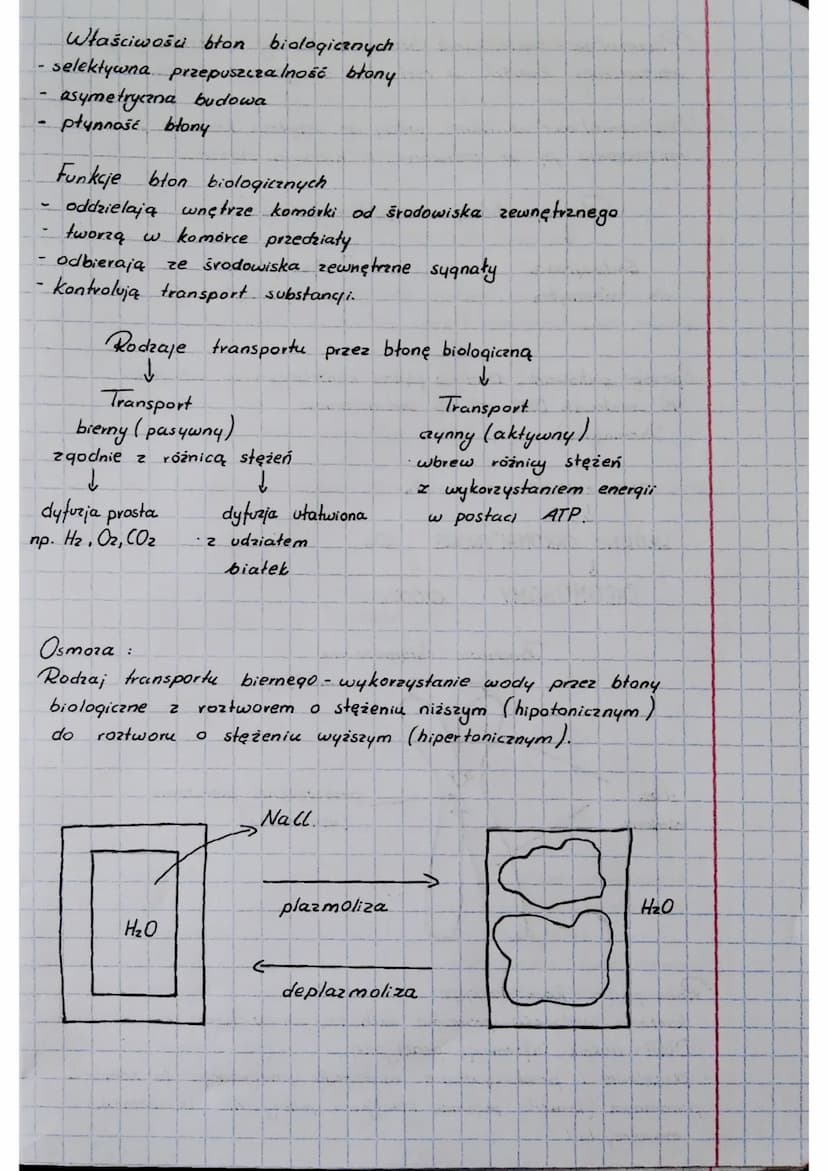 BIOLOGIA
Cytologia
Komórka to najmniejsza jednostka budulcowa i funkcjonalna
orqanizmów.
Cytologia - nauka o komórkach.
Klasyfikacja organiz