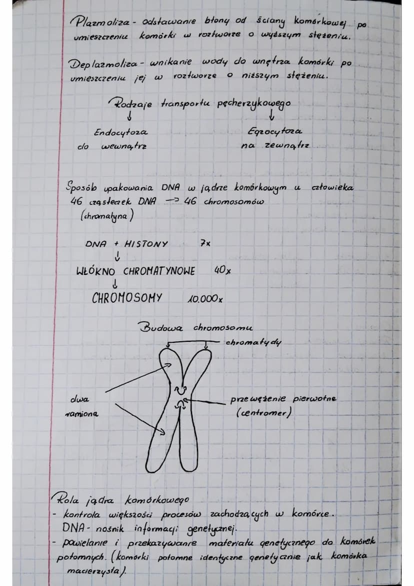 BIOLOGIA
Cytologia
Komórka to najmniejsza jednostka budulcowa i funkcjonalna
orqanizmów.
Cytologia - nauka o komórkach.
Klasyfikacja organiz