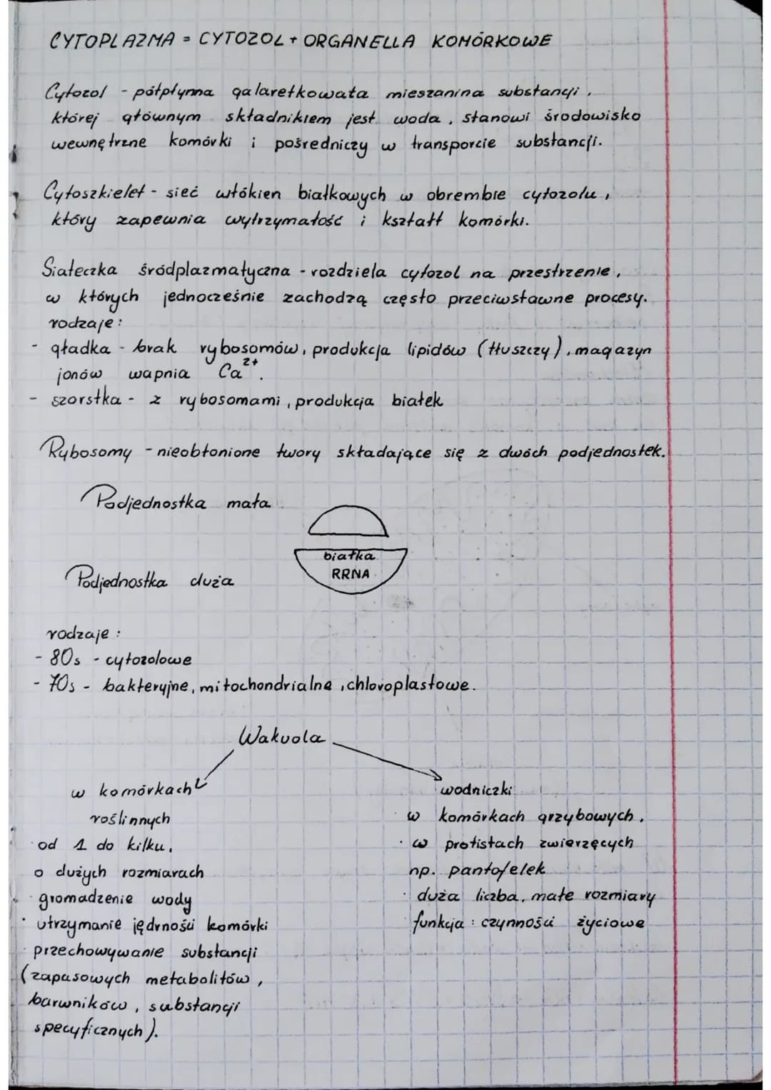 BIOLOGIA
Cytologia
Komórka to najmniejsza jednostka budulcowa i funkcjonalna
orqanizmów.
Cytologia - nauka o komórkach.
Klasyfikacja organiz