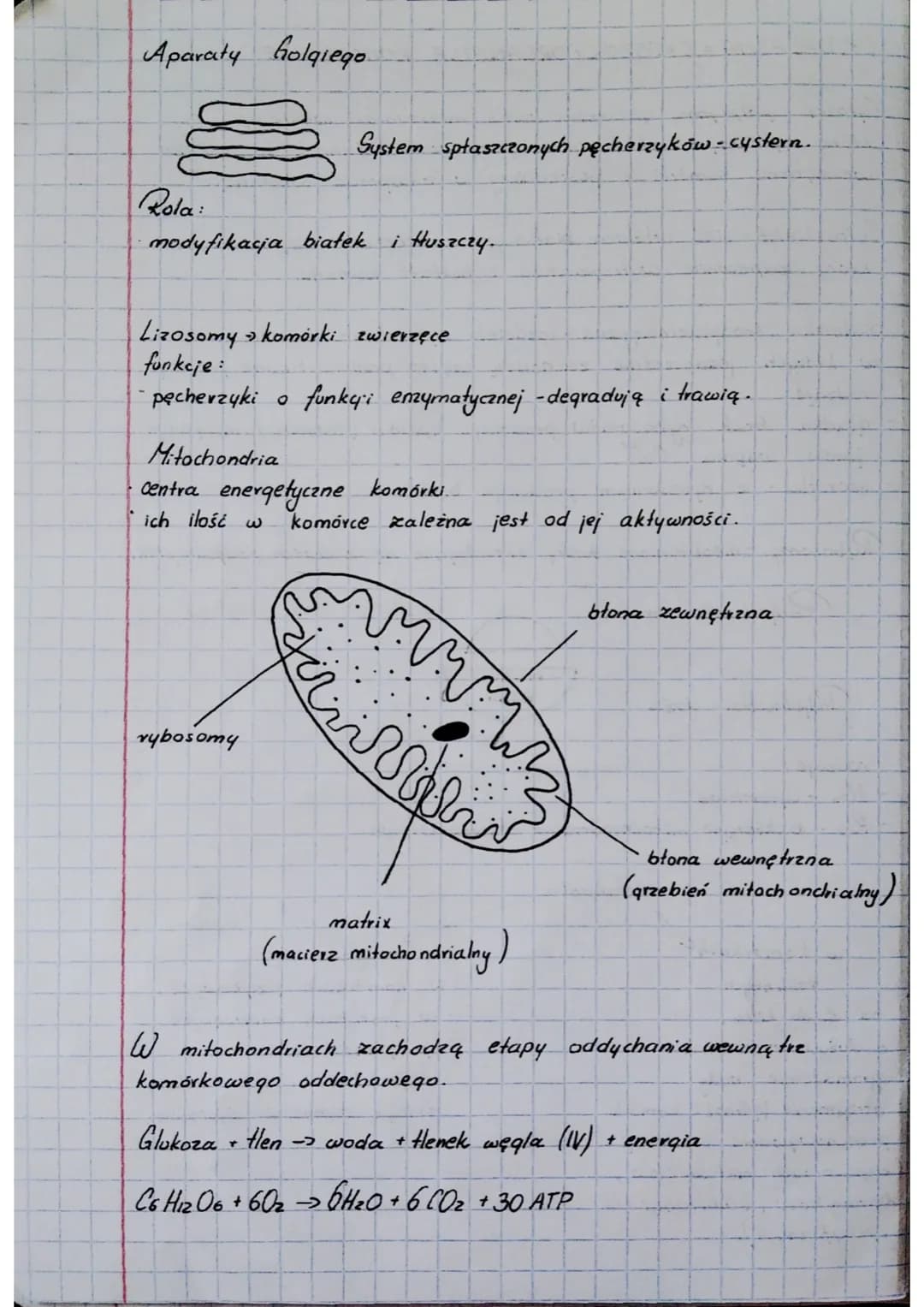 BIOLOGIA
Cytologia
Komórka to najmniejsza jednostka budulcowa i funkcjonalna
orqanizmów.
Cytologia - nauka o komórkach.
Klasyfikacja organiz