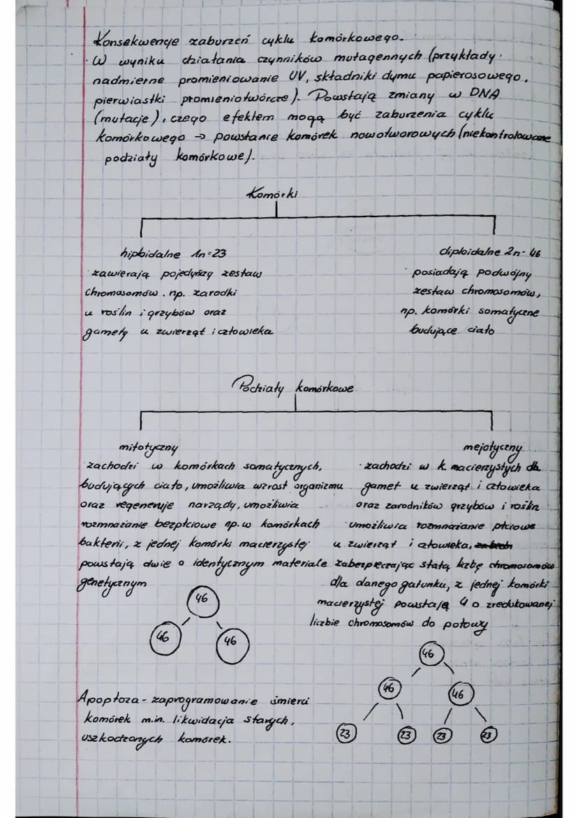BIOLOGIA
Cytologia
Komórka to najmniejsza jednostka budulcowa i funkcjonalna
orqanizmów.
Cytologia - nauka o komórkach.
Klasyfikacja organiz