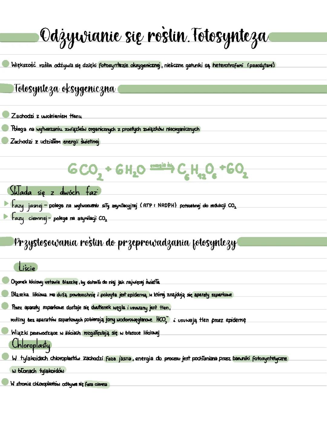 Fotosynteza: Co to jest i jak działa? - Krótko i na temat