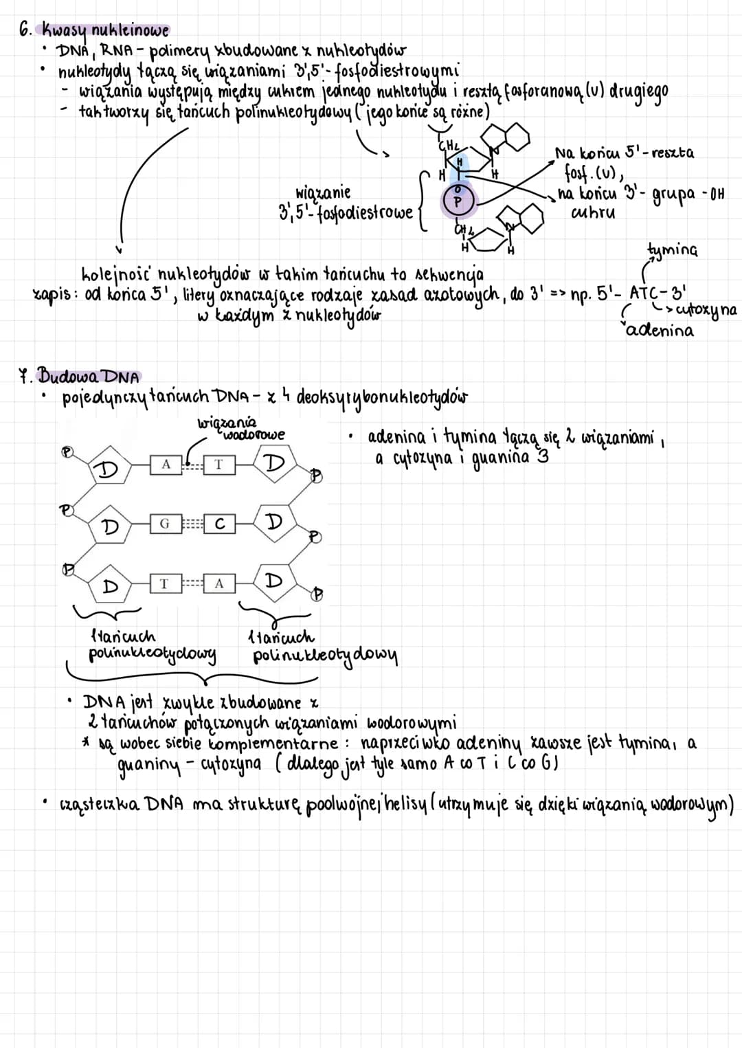 NUKLEOTYDY
1. Są 2 kwasy nukleinowe:
• DNA (kwas deoksyrybonukleinowy) - nośnik inf. genetycznej (material genetyczny I u wszystkich org.
·
