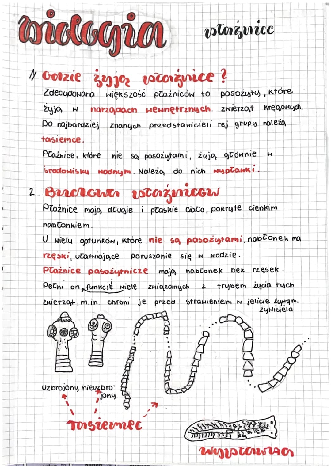 biologia
1 Garzie żyją właznice ?
Zdecydowana Większość płaźniców to
pasożyty, które
zyją w narzągach wewnętrznych zwierząt kręgowych.
Do na