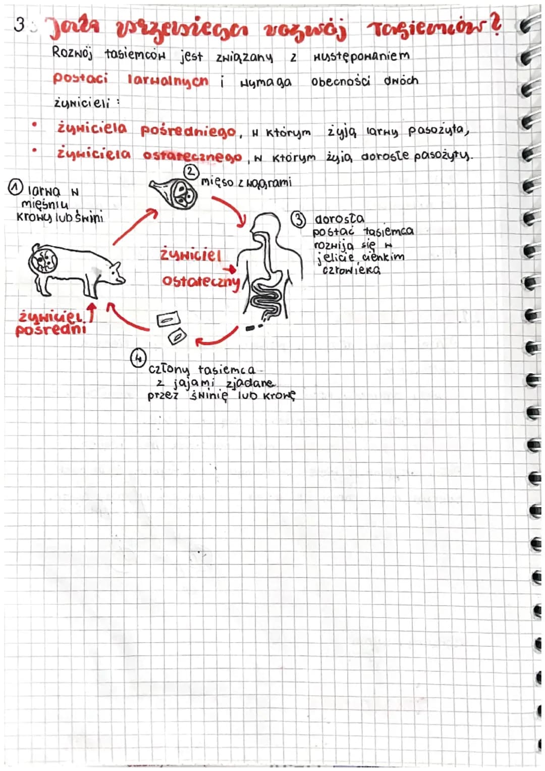 biologia
1 Garzie żyją właznice ?
Zdecydowana Większość płaźniców to
pasożyty, które
zyją w narzągach wewnętrznych zwierząt kręgowych.
Do na