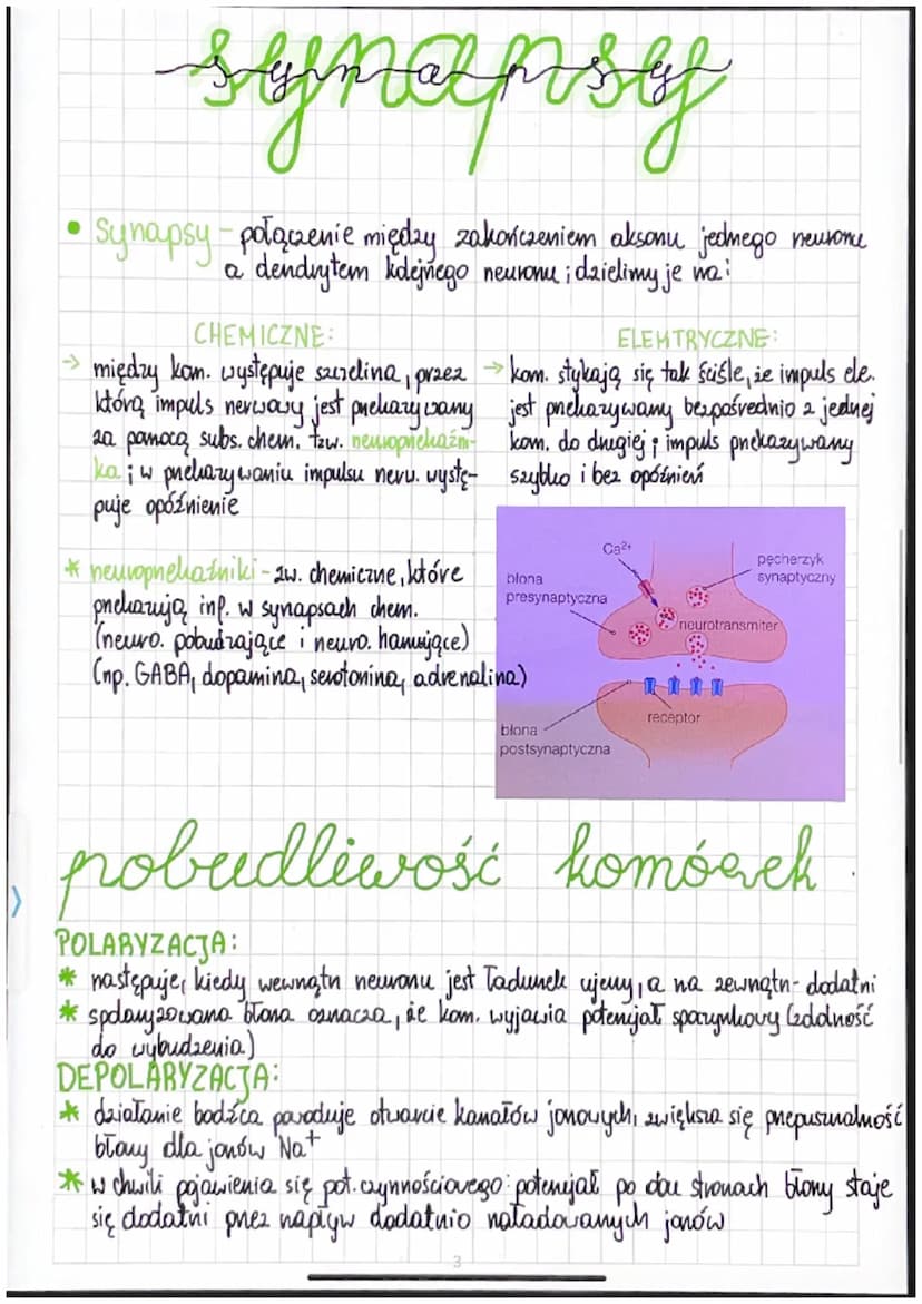 budowa
• Neuvon-kom. nevwowa, która odpowiada za przepływ inf. w postaci
impulsów nerwowych
• Kom. glejowe - pełnią funkje: podporową, odzyc