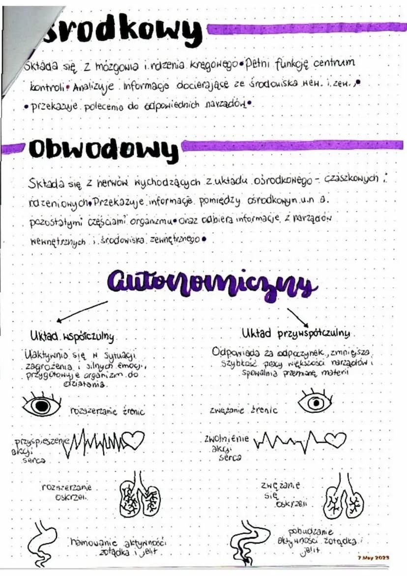 układ nerwowy
Zapewnia przystosowanie się organizmu do zmieniających się
Harunków, środowiska wewnętrznego i zewnętrznego...
Sposób działani