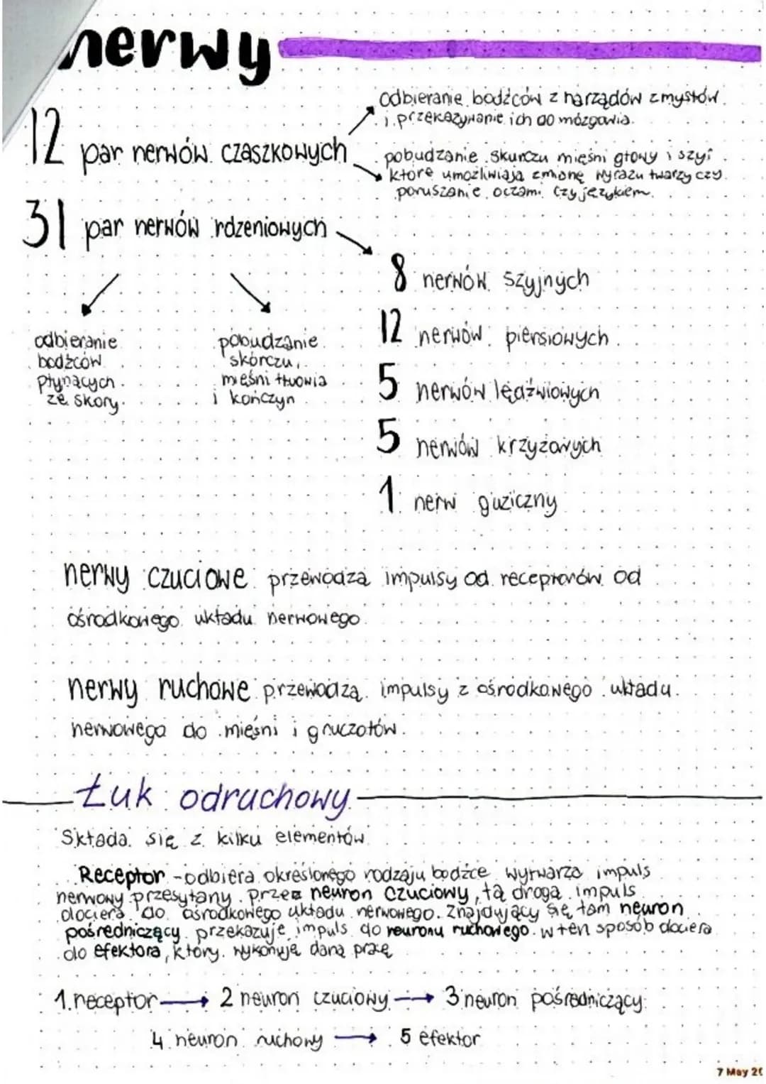 układ nerwowy
Zapewnia przystosowanie się organizmu do zmieniających się
Harunków, środowiska wewnętrznego i zewnętrznego...
Sposób działani