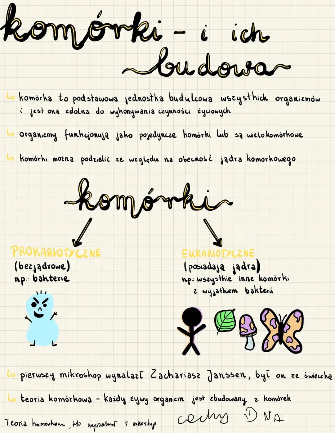 Budowa komórki, komórki prokariotyczne i komórki eukariotyczne