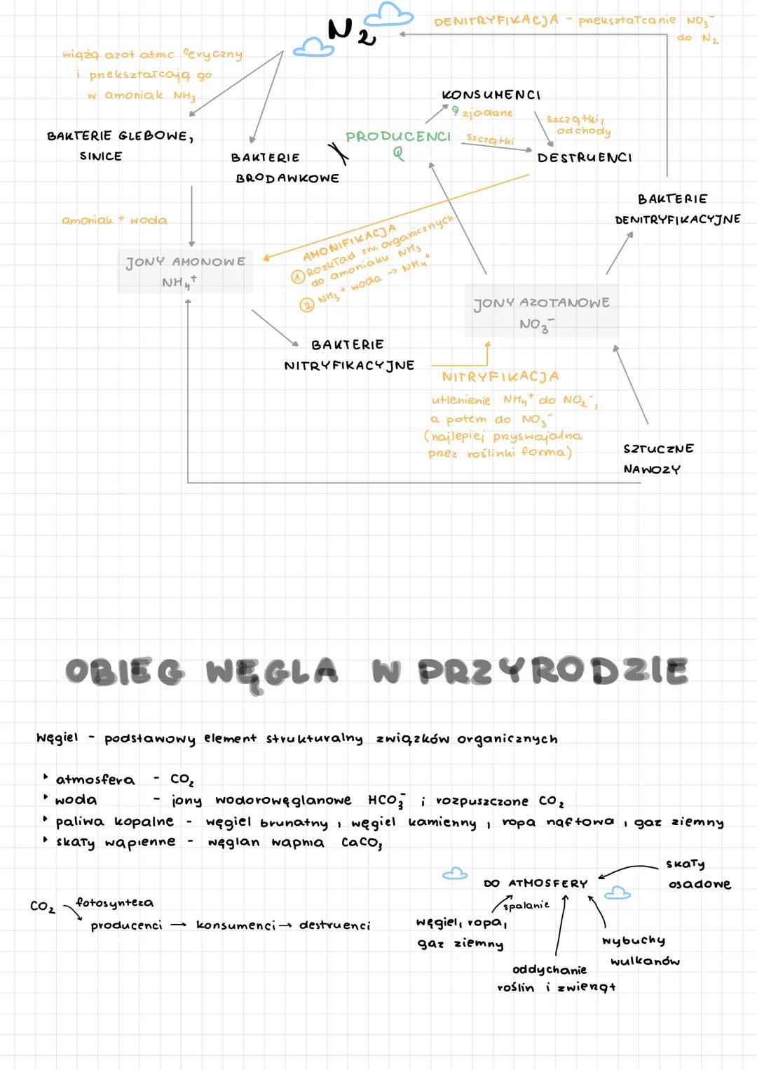 EKOLOGIA nauka o Strukture i funkcjonowaniu przyrody.
OCHRONA
PRZYRODY
OCHRONA
ŚRODOWISKA
Osobnik
Populacja
Biocenoza
Biotop
Ekosystem
▶
Śro