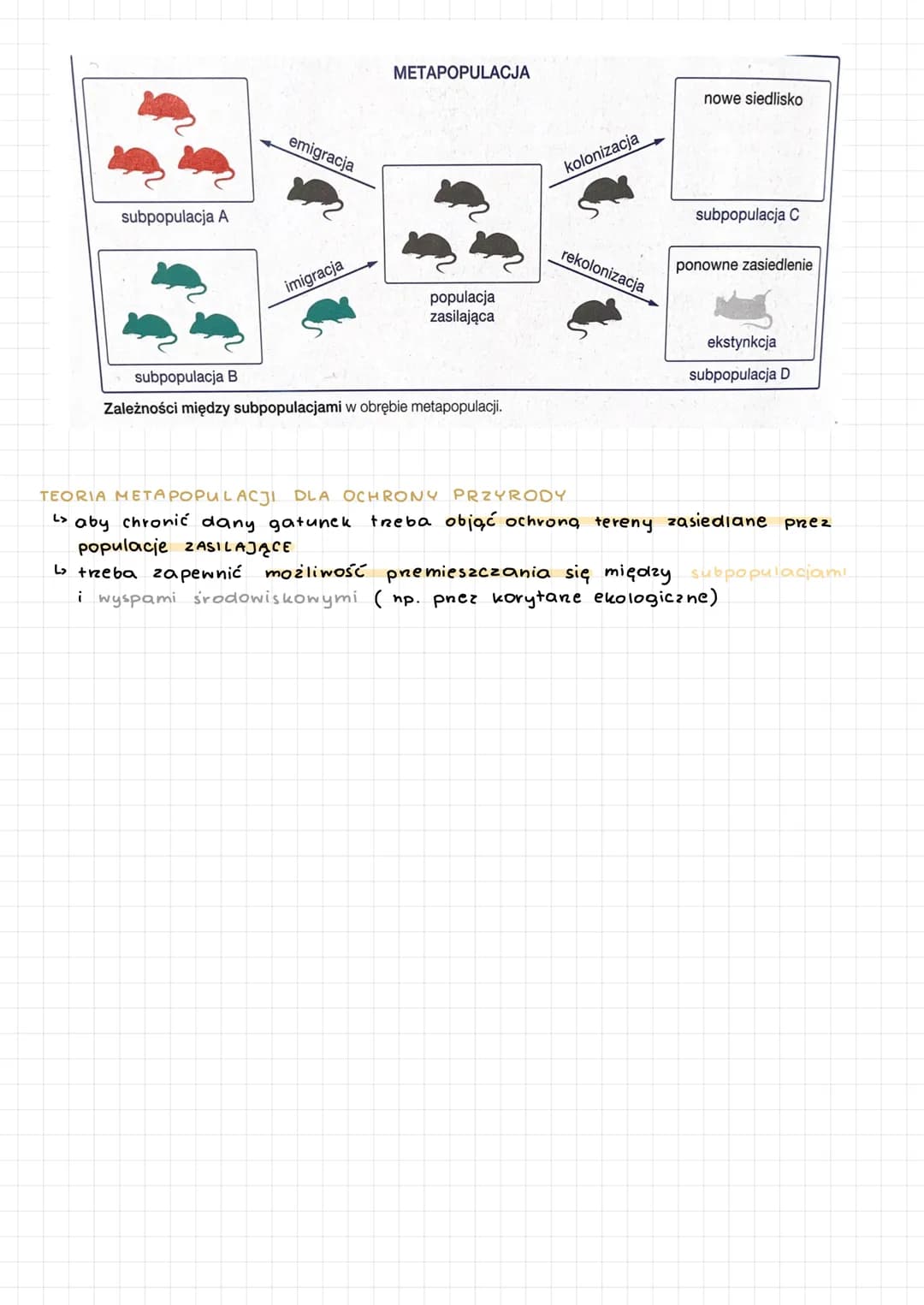 EKOLOGIA nauka o Strukture i funkcjonowaniu przyrody.
OCHRONA
PRZYRODY
OCHRONA
ŚRODOWISKA
Osobnik
Populacja
Biocenoza
Biotop
Ekosystem
▶
Śro