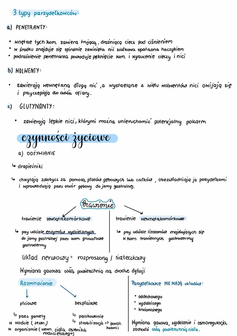 parzydelkowce
dwuwarstwowce ich tkanki wywodzą się z ektodermy i endodermy
2
promienista symetria ciała
↳ środowisko wodne (głównie słone)
↳