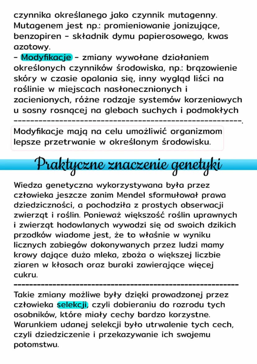 Genetyka
Dziedziczność i zmienność genetyczna
- Jedną z podstawowych czynność życiowych
człowieka jest rozmnażanie.
- W wyniku rozmnażania p