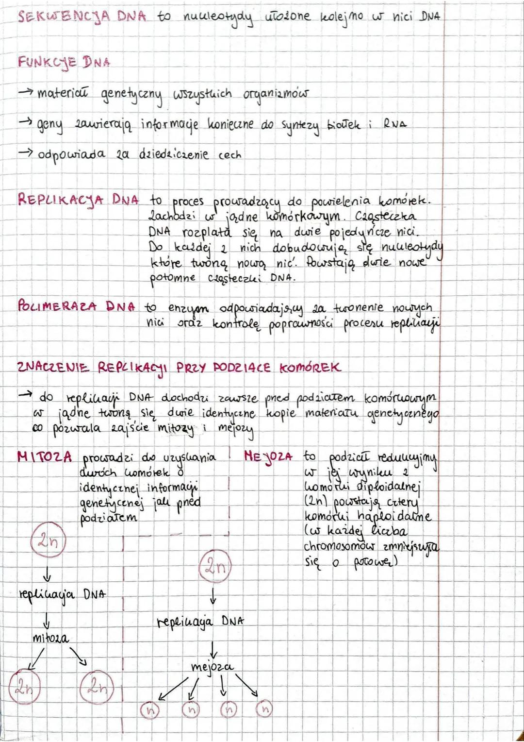 ORGANIZMOW PROKARIOTYCZNYCH (bezjądrowych)

Wesc strukturalna

peksony

części regulatorowe

GENY NIECIĄGŁE obeemość intronów (organizmy euk