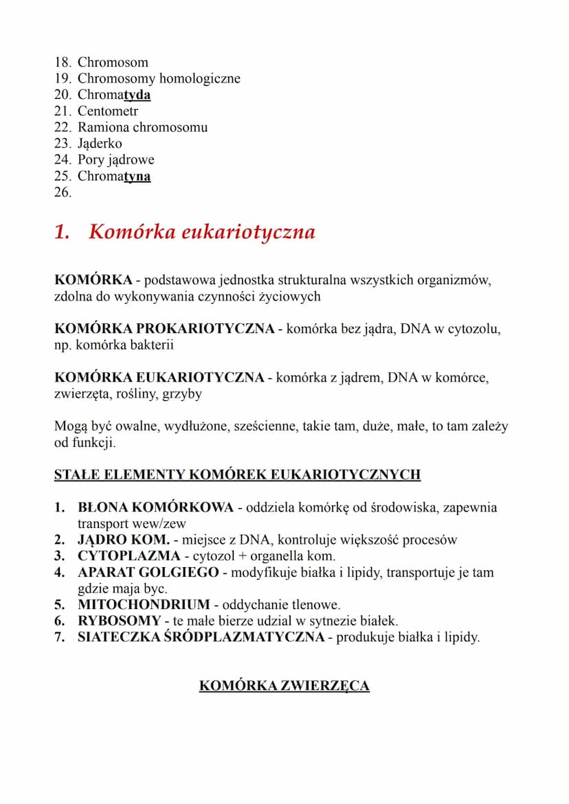 Spis zagadnień
1. Komórka eukariotyczna
a) podział komórek na pro/eukariotyczne
b) Komórka zwierzęca/roślinna/grzybowa
c) Typowe cechy tych 