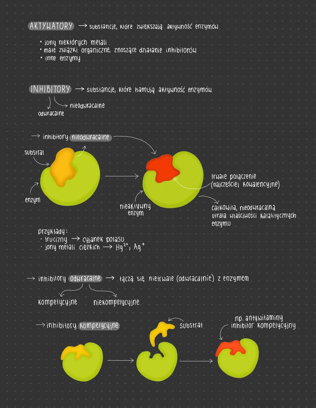 regulacja aktywności
STERZENIE SUBSTRATU
szybkość
reakcji
Vmax
Vmax
O
Км
Stezenie
Substratu
Krzywa Michaelisa - Menten.
ENZYMÓW
<Vmax
KM (po