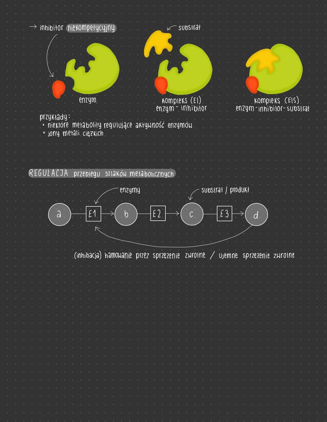 regulacja aktywności
STERZENIE SUBSTRATU
szybkość
reakcji
Vmax
Vmax
O
Км
Stezenie
Substratu
Krzywa Michaelisa - Menten.
ENZYMÓW
<Vmax
KM (po