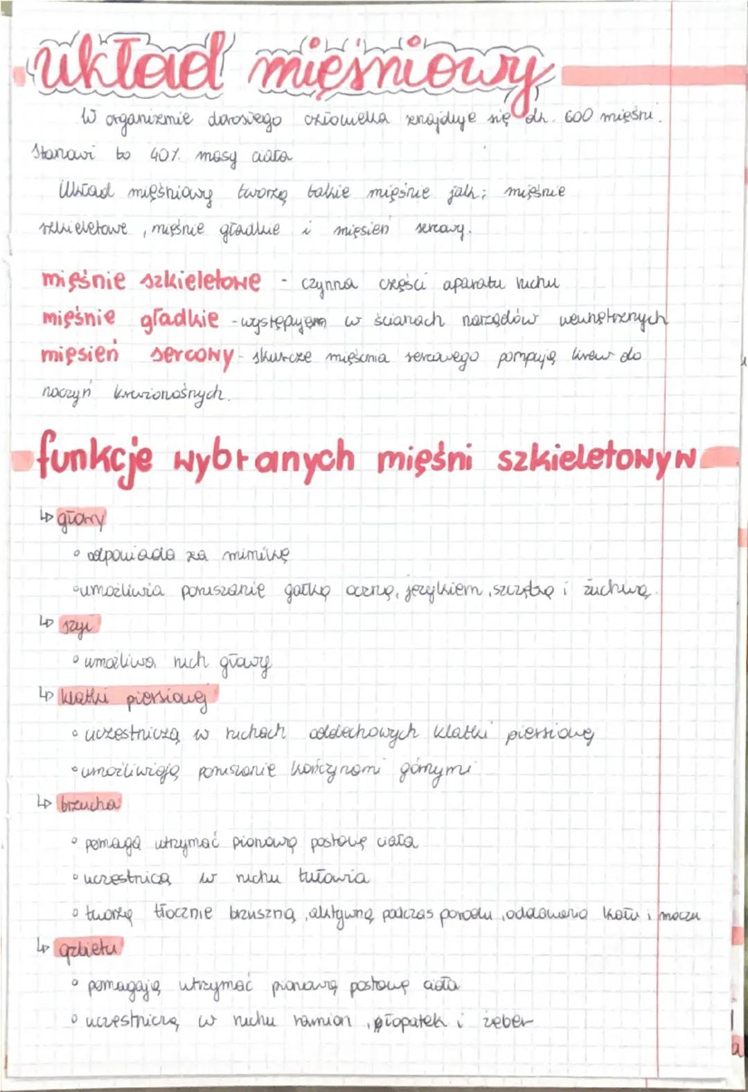 uktad mieniowy
W
organizmie dorosiego człowieka znajduje się dr. 600 miestu.
Stanavi to 40% masy ciata
Whtod mięśniowy twork bakie mięśnie j