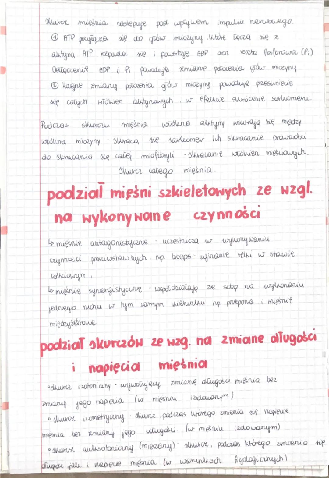 uktad mieniowy
W
organizmie dorosiego człowieka znajduje się dr. 600 miestu.
Stanavi to 40% masy ciata
Whtod mięśniowy twork bakie mięśnie j