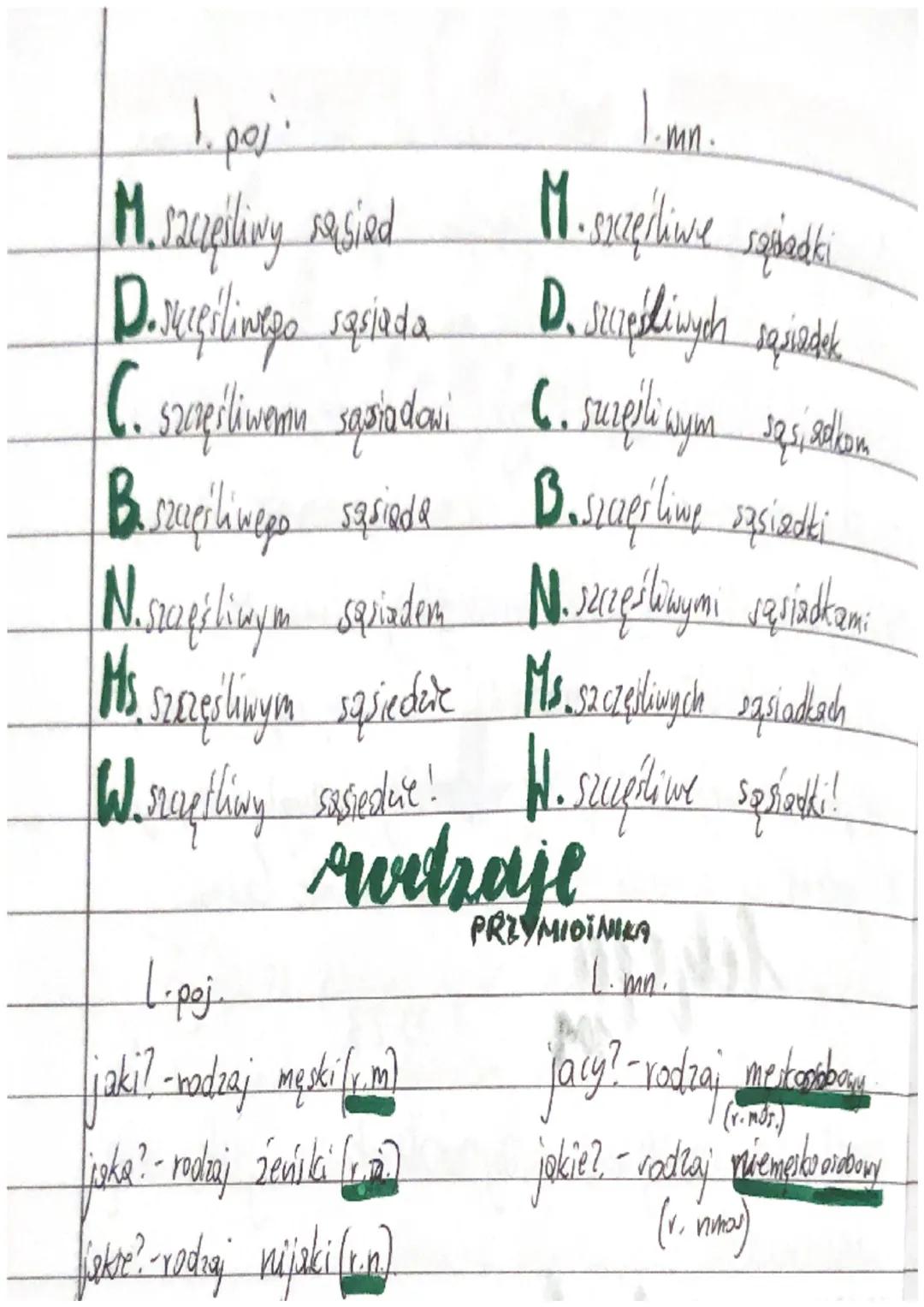 V
leheja
104 1.03.23
54
Temat: Co nazywa przymiotnik i jak się
odmienia?
przymiotnik - odmienna açść mowy, która
nazywa cechy i właściwości 