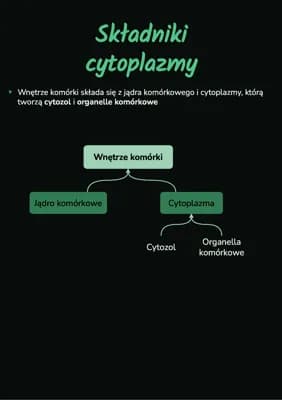 Know Składniki cytoplazmy thumbnail