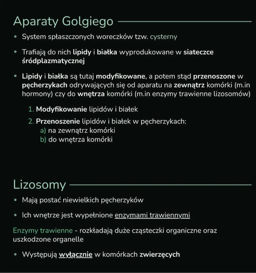 --- OCR Start ---
Składniki
cytoplazmy
Wnętrze komórki składa się z jądra komórkowego i cytoplazmy, którą
tworzą cytozol i organelle komórko