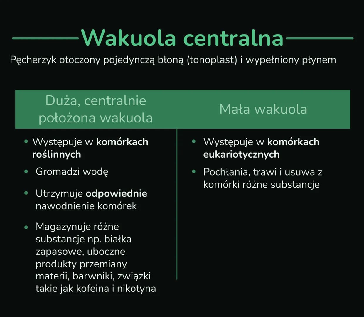--- OCR Start ---
Składniki
cytoplazmy
Wnętrze komórki składa się z jądra komórkowego i cytoplazmy, którą
tworzą cytozol i organelle komórko