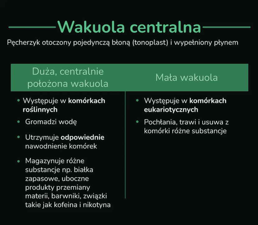 --- OCR Start ---
Składniki
cytoplazmy
Wnętrze komórki składa się z jądra komórkowego i cytoplazmy, którą
tworzą cytozol i organelle komórko