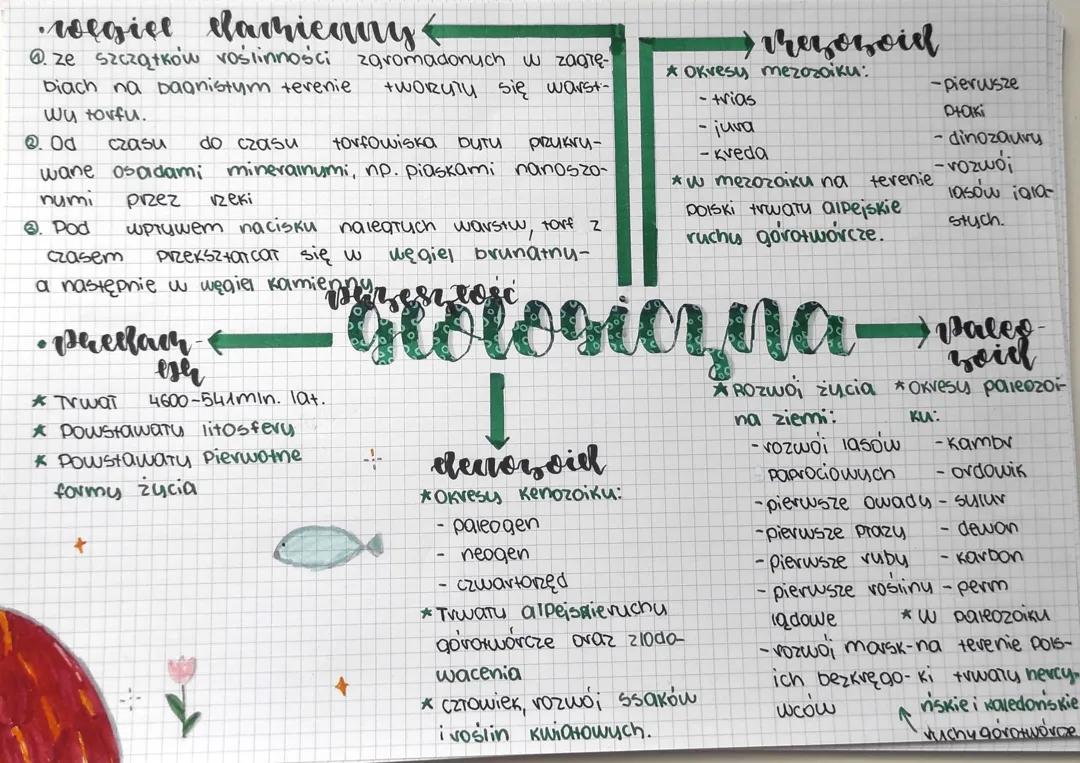 Przeszłość geologiczna - notatki z geografii