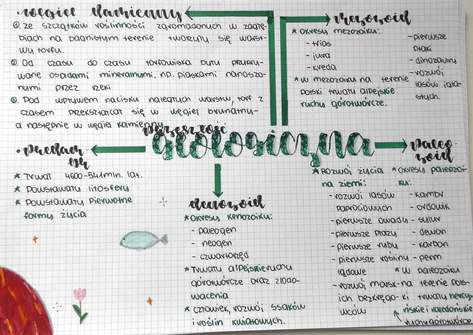 węgiel damienny
@ze szczątków roślinności zgromadonych w zagre
biach na Dagnistym terenie +worylu się warst-
wy torfu.
2. Od czasu do czasu 