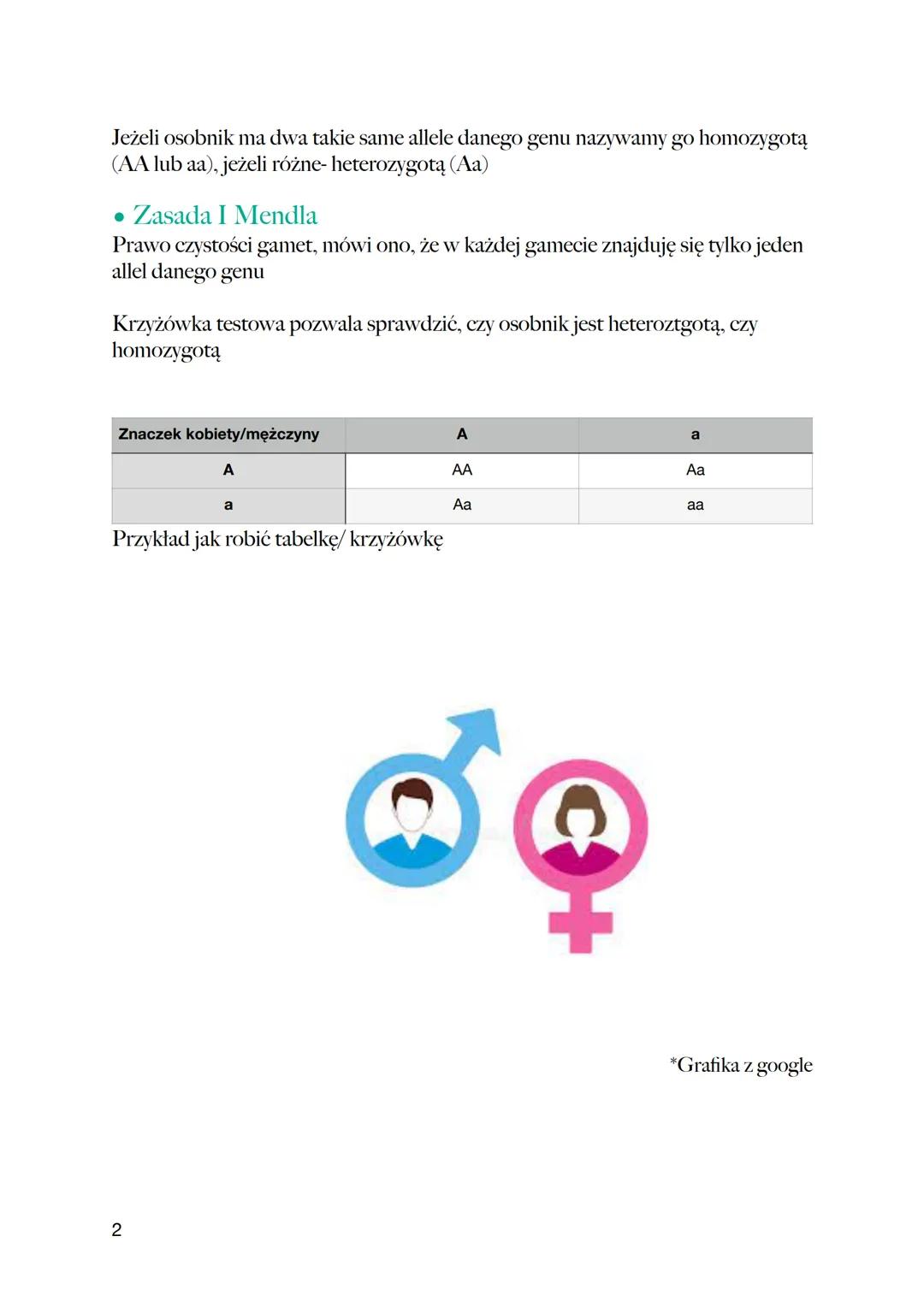 Fenotyp a genotyp
Zespół wszystkich genów w organizmie to genotyp, natomiast widoczne cechy
np. kolor oczu, włosów, kształt nosa itp nazywam