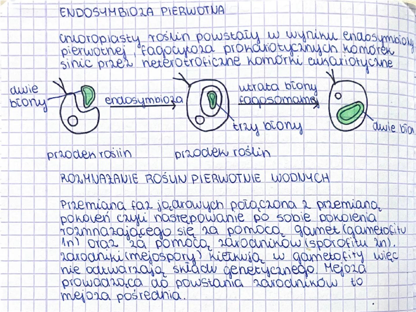 --- OCR Start ---
denya
temat: Rosliny pierwotnie wodne
• występują w zbiornikach wody słodkiej i słonej
•glaucocystofity, krasnorosty, ziel