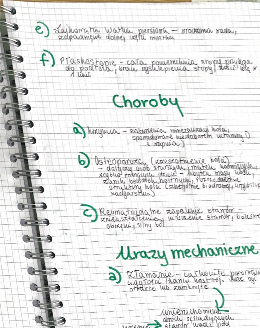 a a a a a a
Biologia
UKŁAD RUCHU
✓
Sechielet
(uzęśc biema)
Miesnie
(capit uxynna)
Szkielet
Szuielet
osiony
Szkielet
но покикуп
zaszha
Watha
