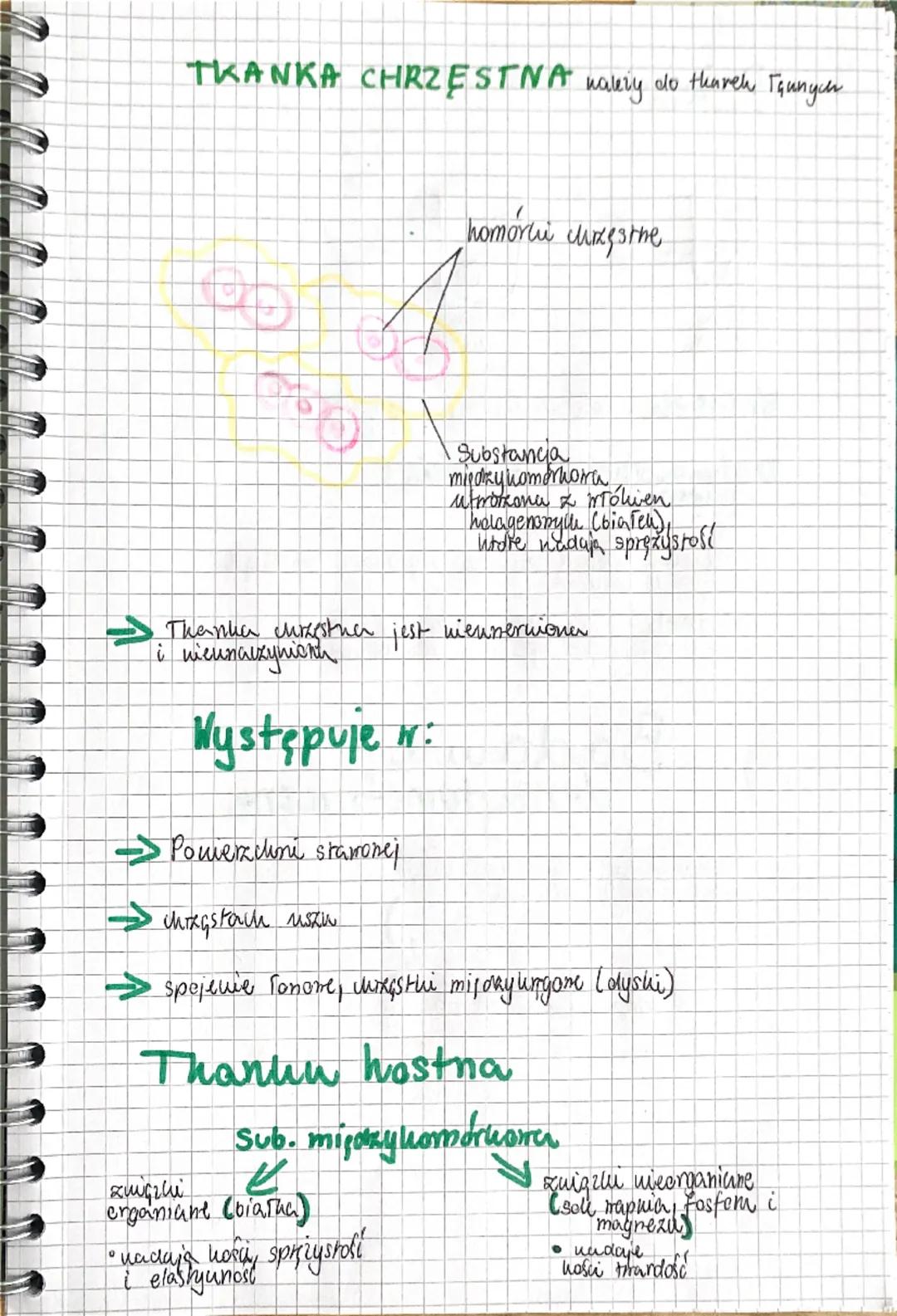 a a a a a a
Biologia
UKŁAD RUCHU
✓
Sechielet
(uzęśc biema)
Miesnie
(capit uxynna)
Szkielet
Szuielet
osiony
Szkielet
но покикуп
zaszha
Watha
