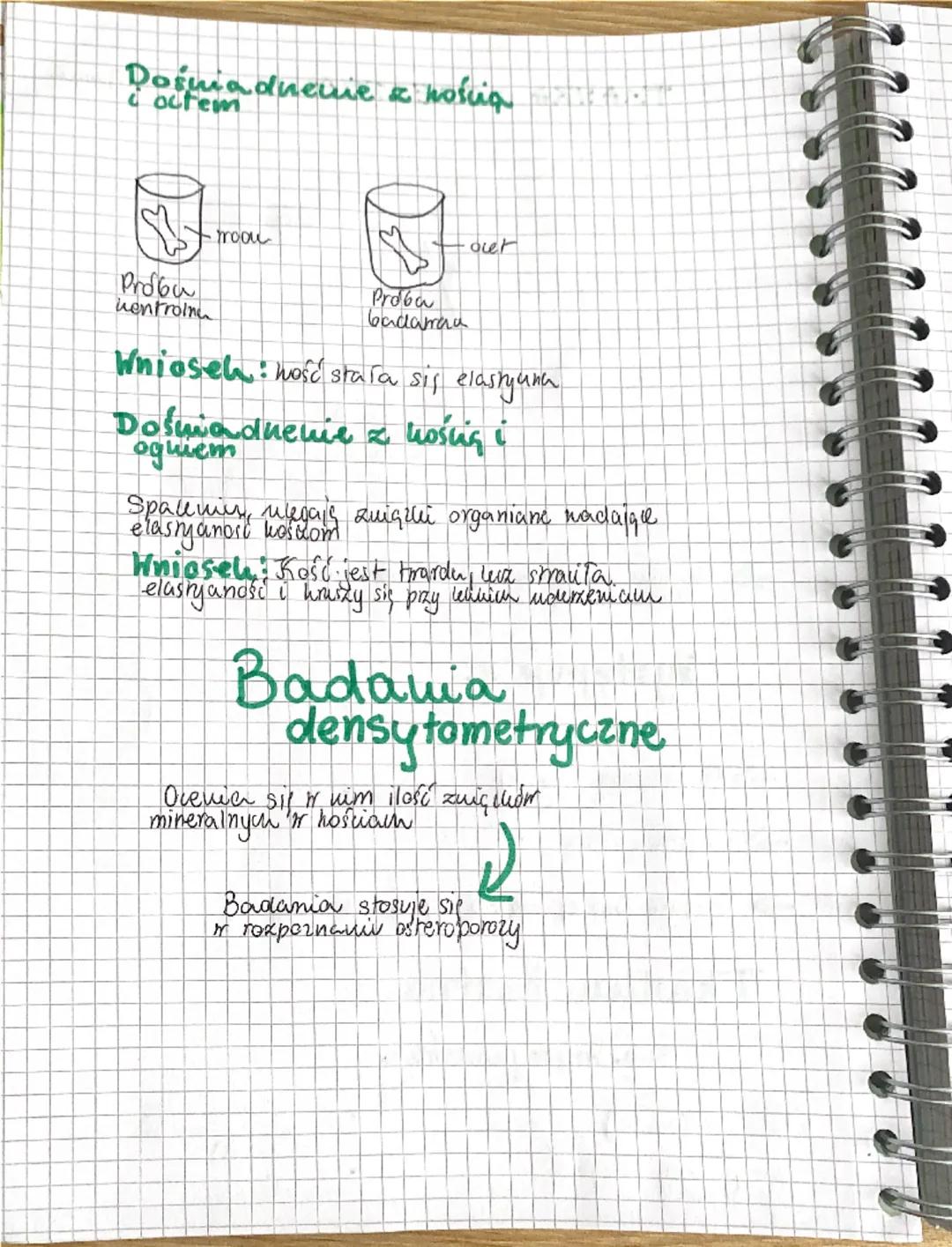 a a a a a a
Biologia
UKŁAD RUCHU
✓
Sechielet
(uzęśc biema)
Miesnie
(capit uxynna)
Szkielet
Szuielet
osiony
Szkielet
но покикуп
zaszha
Watha
