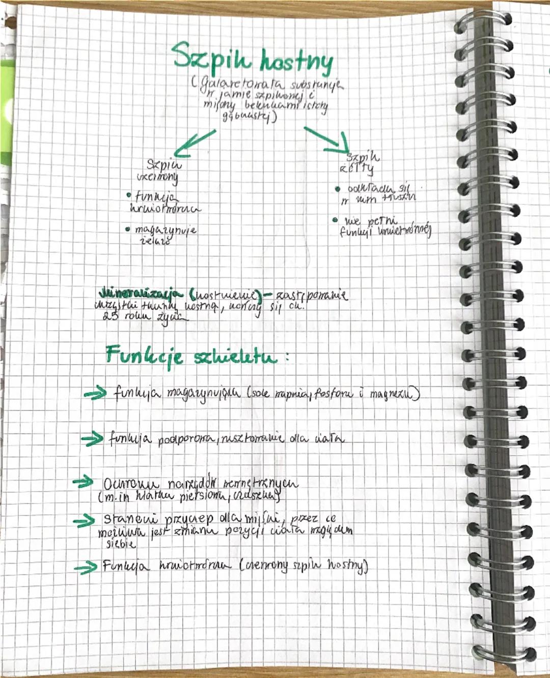 a a a a a a
Biologia
UKŁAD RUCHU
✓
Sechielet
(uzęśc biema)
Miesnie
(capit uxynna)
Szkielet
Szuielet
osiony
Szkielet
но покикуп
zaszha
Watha
