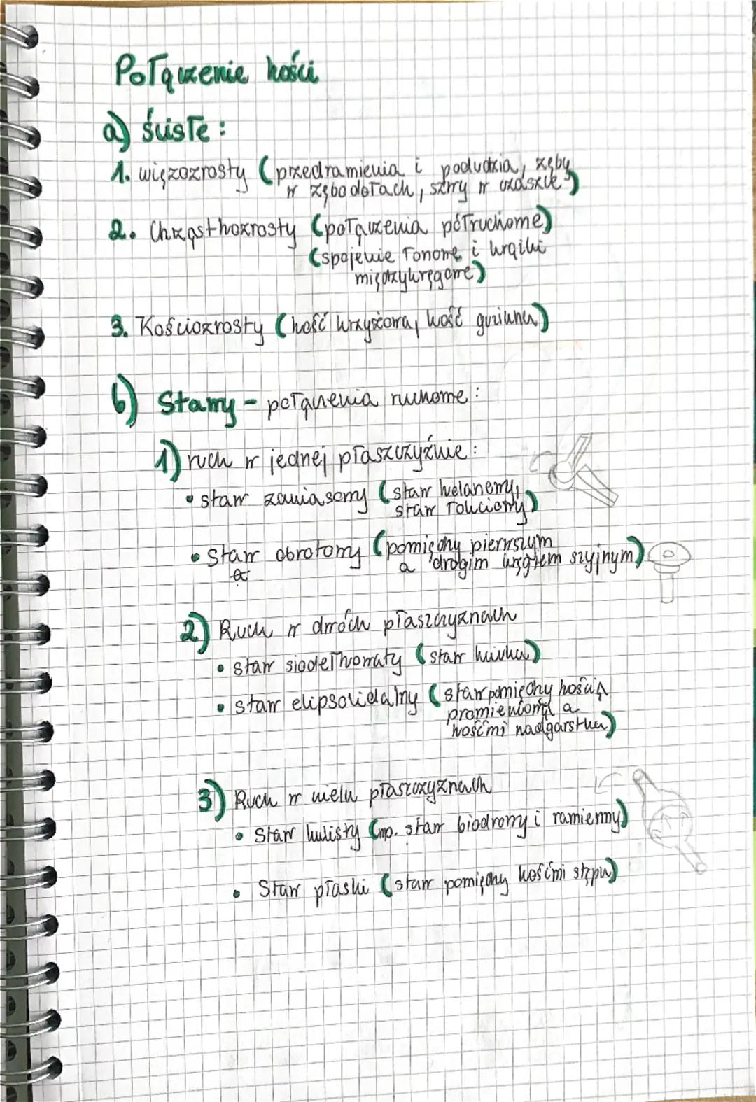 a a a a a a
Biologia
UKŁAD RUCHU
✓
Sechielet
(uzęśc biema)
Miesnie
(capit uxynna)
Szkielet
Szuielet
osiony
Szkielet
но покикуп
zaszha
Watha
