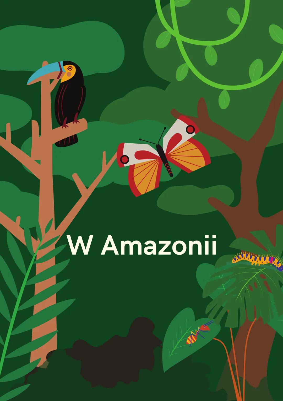 W Amazonii # Położenie Amazonii

Wenezuela Gujana

Surinam

Kolumbia

Ekwador

Peru

Gęstość lasu
wha/km²

Boliwia

Gujana Francuska

Brazyl