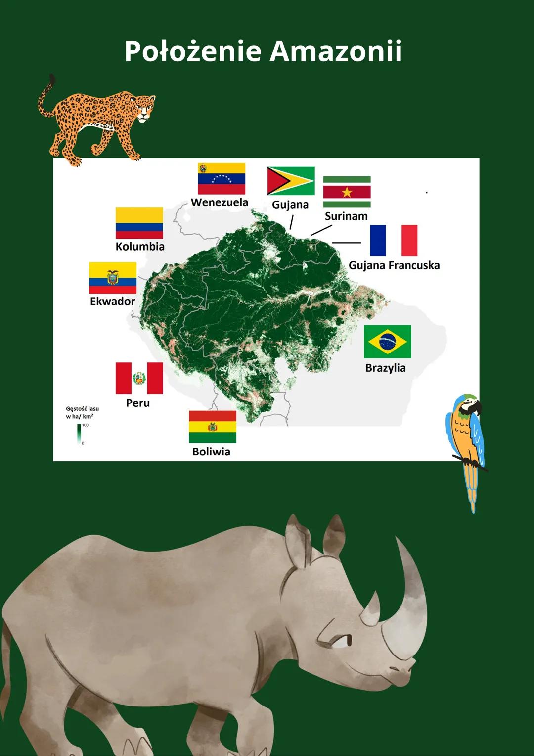 W Amazonii # Położenie Amazonii

Wenezuela Gujana

Surinam

Kolumbia

Ekwador

Peru

Gęstość lasu
wha/km²

Boliwia

Gujana Francuska

Brazyl