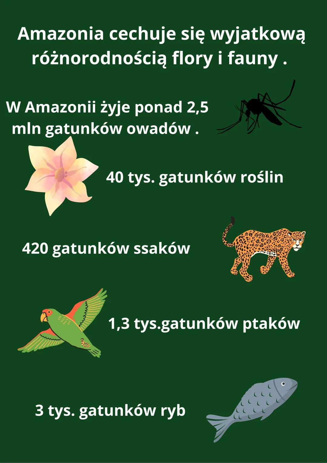 W Amazonii # Położenie Amazonii

Wenezuela Gujana

Surinam

Kolumbia

Ekwador

Peru

Gęstość lasu
wha/km²

Boliwia

Gujana Francuska

Brazyl