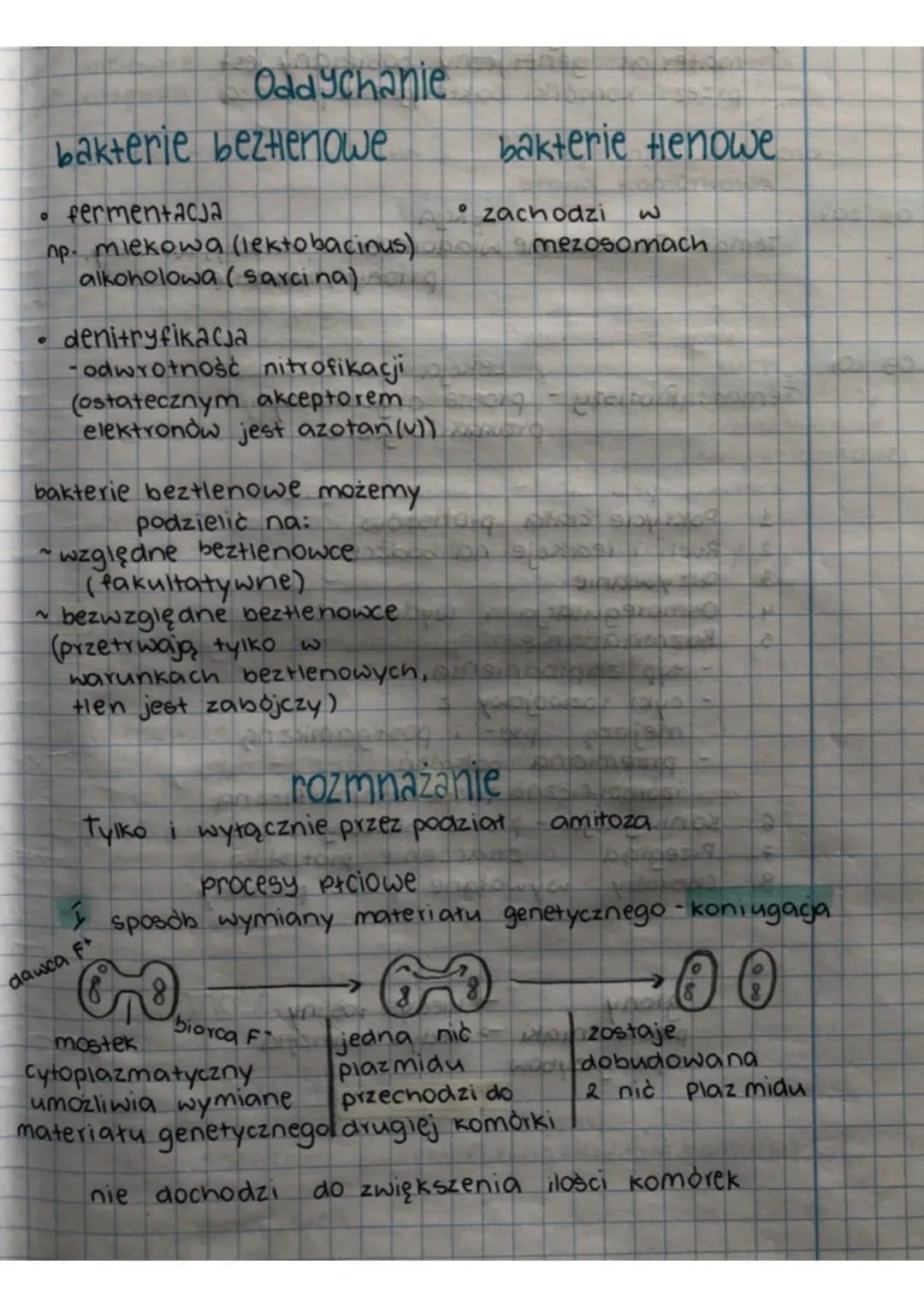 。
0 fermentacja
np. miekowa (lekto bacinus)
alkoholowa (sarcina) g
2
tashlab
bakterie beztlenowe
~
Oddychanie
bakterie beztlenowe możemy
pod