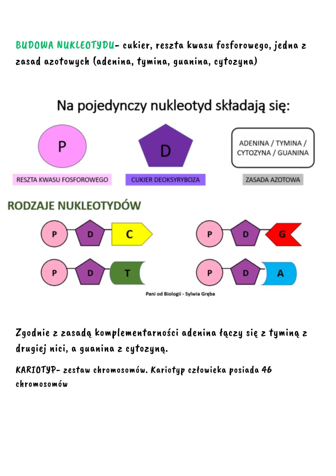 GENETYKA
GENETYKA- to nauka o mechanizmie dziedziczenia cech organizmów. Nazwa
ta pochodzi od słowa „Genesis", co oznacza początek.
CECHY DZ