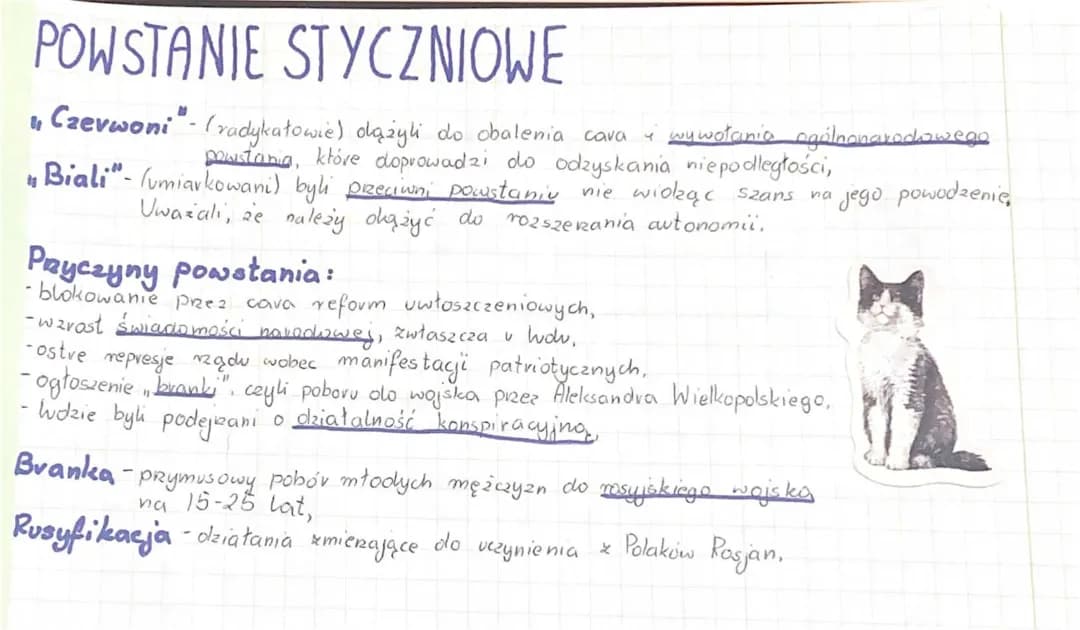 Powstanie styczniowe